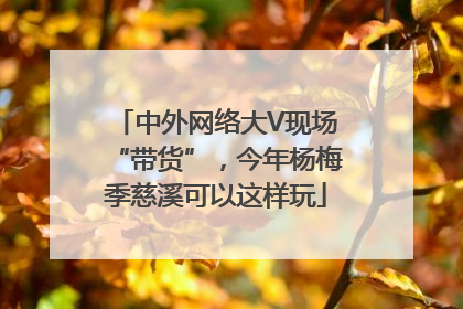 中外网络大V现场“带货”，今年杨梅季慈溪可以这样玩
