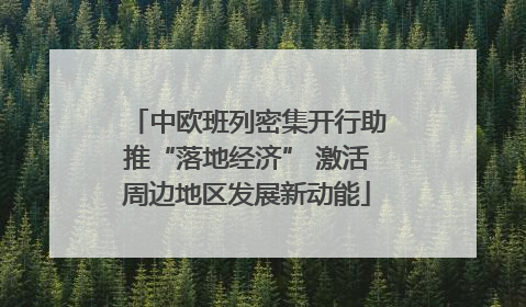 中欧班列密集开行助推“落地经济” 激活周边地区发展新动能