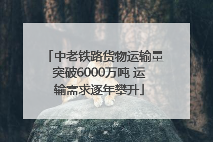 中老铁路货物运输量突破6000万吨 运输需求逐年攀升