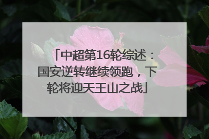 中超第16轮综述：国安逆转继续领跑，下轮将迎天王山之战