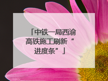 中铁一局西渝高铁施工刷新“进度条”