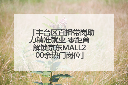 丰台区直播带岗助力精准就业 零距离解锁京东MALL200余热门岗位