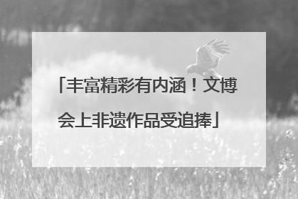 丰富精彩有内涵！文博会上非遗作品受追捧