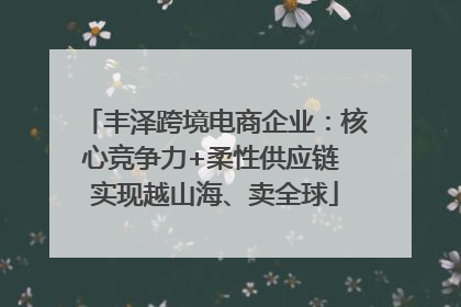 丰泽跨境电商企业：核心竞争力+柔性供应链 实现越山海、卖全球