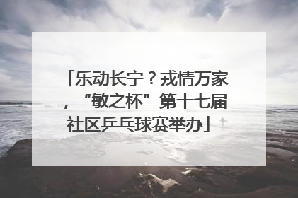 乐动长宁？戎情万家，“敏之杯”第十七届社区乒乓球赛举办