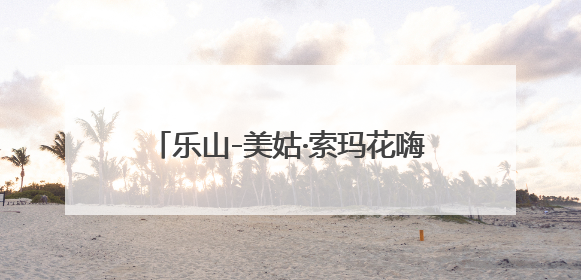 乐山-美姑·索玛花嗨购节开幕，诚邀游客打卡黄茅埂万亩索玛花海