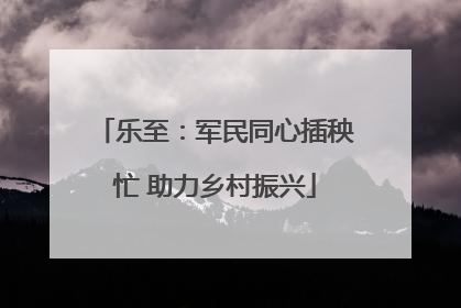 乐至：军民同心插秧忙 助力乡村振兴