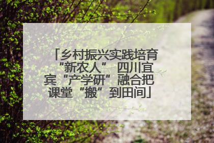 乡村振兴实践培育“新农人” 四川宜宾“产学研”融合把课堂“搬”到田间