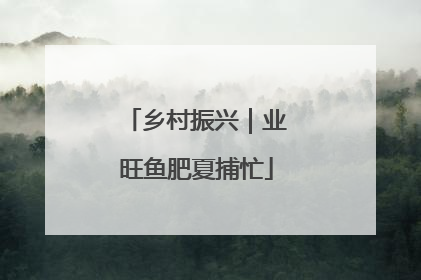 乡村振兴｜业旺鱼肥夏捕忙