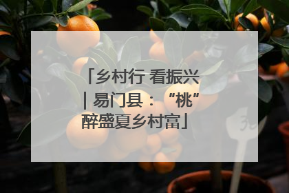 乡村行 看振兴｜易门县：“桃”醉盛夏乡村富