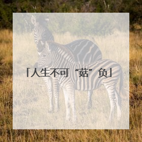 人生不可“菇”负