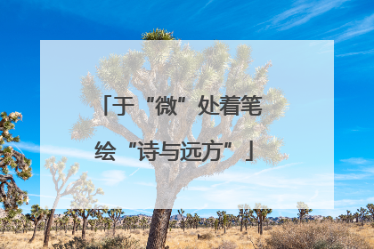 于“微”处着笔 绘“诗与远方”