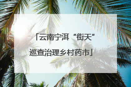 云南宁洱“街天”巡查治理乡村药市