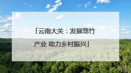 云南大关：发展筇竹产业 助力乡村振兴