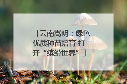 云南嵩明：绿色优质种苗培育 打开“缤纷世界”