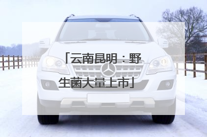 云南昆明：野生菌大量上市