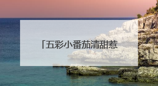 五彩小番茄清甜惹人爱，武汉种博会上好多“尖板眼”
