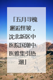 五月寻槐邂逅怪坡，沈北新区中医院国潮中医雅集引热潮