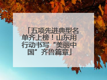 五项先进典型名单齐上榜！山东用行动书写“美丽中国”齐鲁篇章