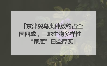 京津冀鸟类种数约占全国四成，三地生物多样性“家底”日益厚实