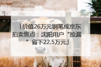 价值26万元钢笔成京东拍卖焦点：沈阳用户“捡漏”省下22.5万元