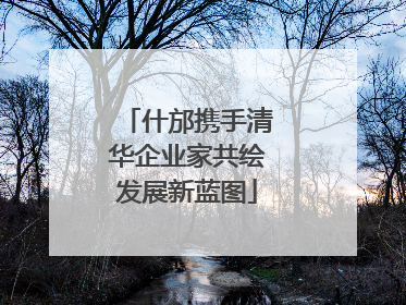 什邡携手清华企业家共绘发展新蓝图