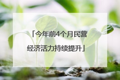 今年前4个月民营经济活力持续提升