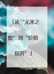 从“无米之炊”到“价值跃升”