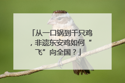 从一口锅到千只鸡，非遗东安鸡如何“飞”向全国？