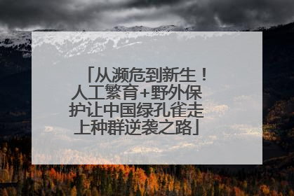 从濒危到新生！人工繁育+野外保护让中国绿孔雀走上种群逆袭之路