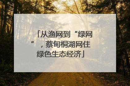从渔网到“绿网”，蔡甸桐湖网住绿色生态经济