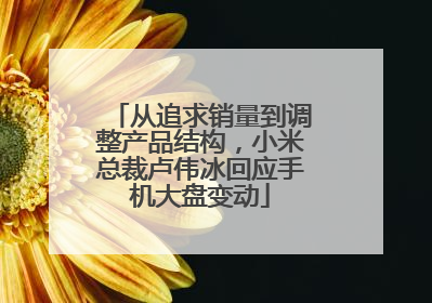 从追求销量到调整产品结构，小米总裁卢伟冰回应手机大盘变动