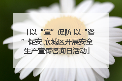 以“宣”促防 以“咨”促安 襄城区开展安全生产宣传咨询日活动