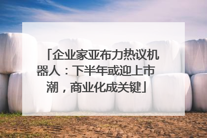 企业家亚布力热议机器人：下半年或迎上市潮，商业化成关键