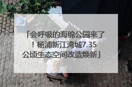 会呼吸的海绵公园来了！杨浦新江湾城7.35公顷生态空间改造焕新