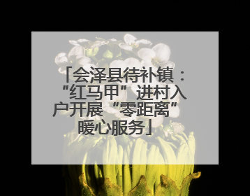 会泽县待补镇：“红马甲”进村入户开展“零距离”暖心服务