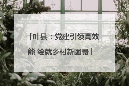 叶县：党建引领高效能 绘就乡村新图景