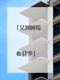 又到树莓收获季