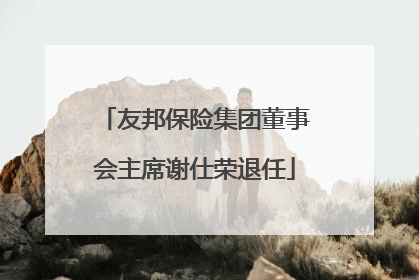 友邦保险集团董事会主席谢仕荣退任