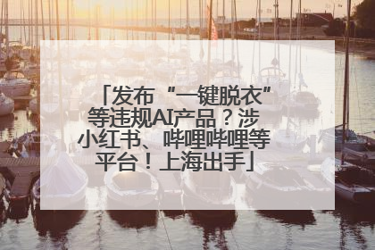 发布“一键脱衣”等违规AI产品？涉小红书、哔哩哔哩等平台！上海出手