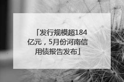 发行规模超184亿元，5月份河南信用债报告发布