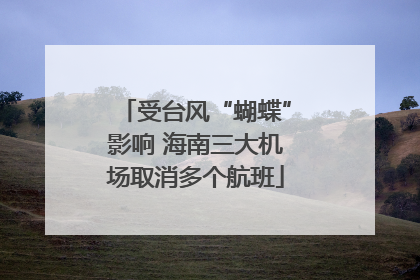 受台风“蝴蝶”影响 海南三大机场取消多个航班