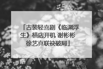 古装轻喜剧《临渊浮生》横店开机 谢彬彬徐艺真联袂破局