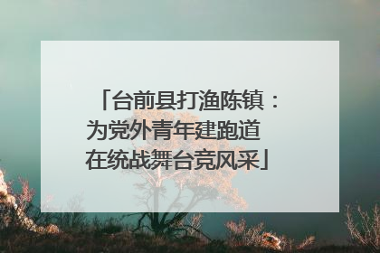 台前县打渔陈镇：为党外青年建跑道 在统战舞台竞风采