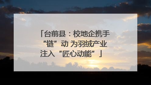 台前县：校地企携手“链”动 为羽绒产业注入“匠心动能”