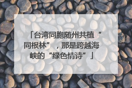 台湾同胞随州共植“同根林”，那是跨越海峡的“绿色情诗”