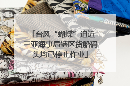 台风“蝴蝶”迫近 三亚海事局辖区货船码头均已停止作业