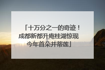 十万分之一的奇迹！成都新都升庵桂湖惊现今年首朵并蒂莲