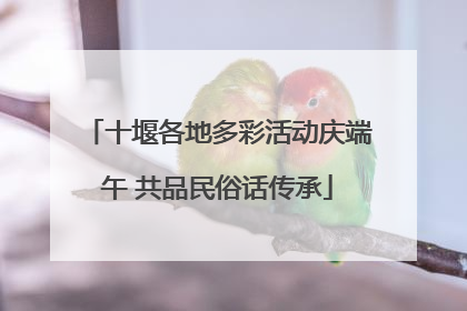 十堰各地多彩活动庆端午 共品民俗话传承