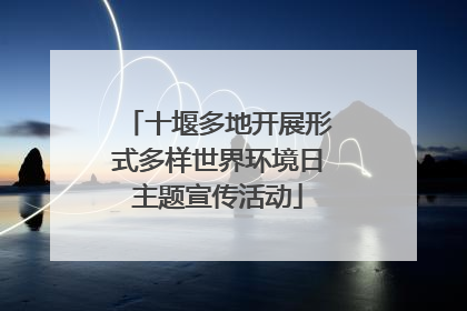 十堰多地开展形式多样世界环境日主题宣传活动